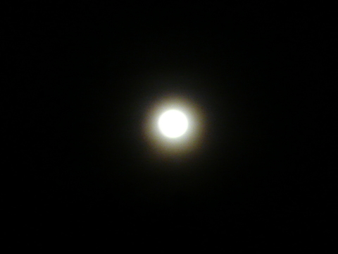 f0006208_20352797.jpg
