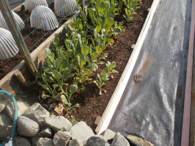 c0116610_1942373.jpg