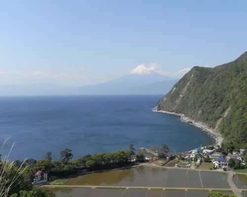 f0006510_19184778.jpg