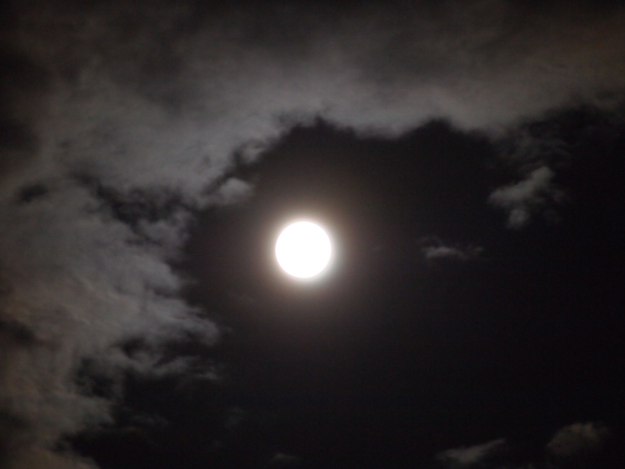 d0169613_0124185.jpg
