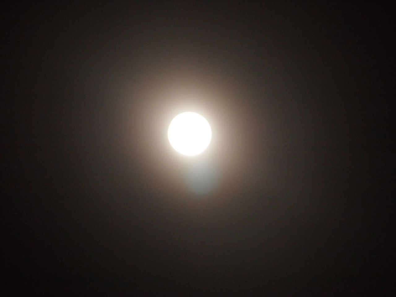 d0169613_0133472.jpg