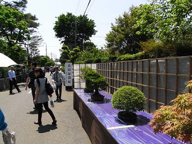 b0077117_15394475.jpg