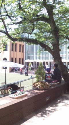 b0240419_17325890.jpg