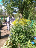 e0112619_0215954.jpg