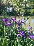 e0112619_0215962.jpg