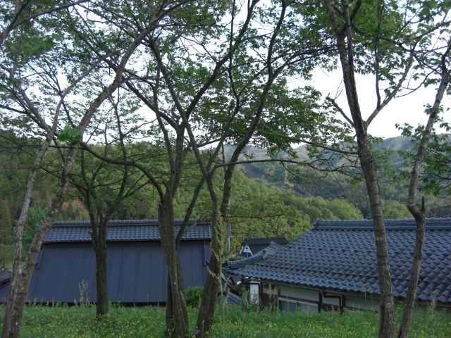 d0167621_22271919.jpg