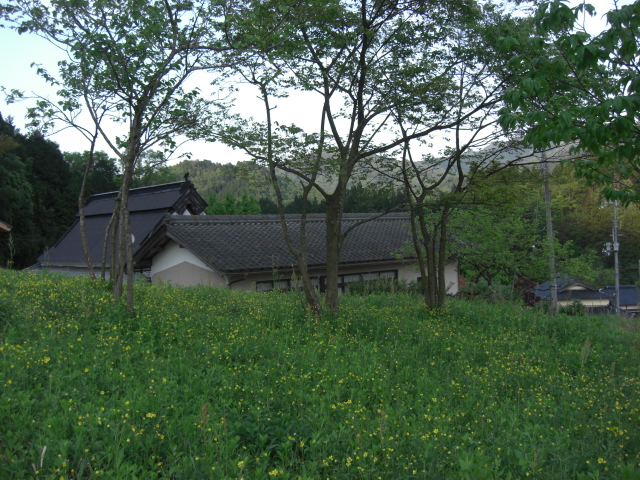 d0167621_22395068.jpg