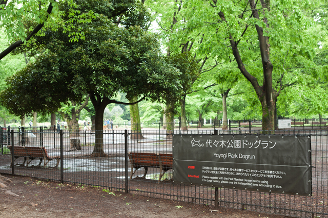 e0192921_21482954.jpg