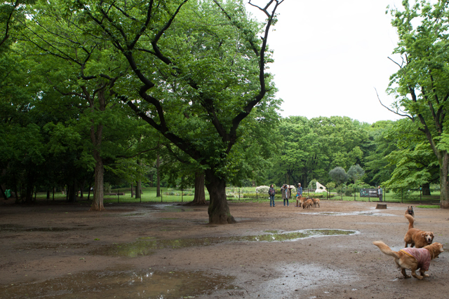 e0192921_21483441.jpg