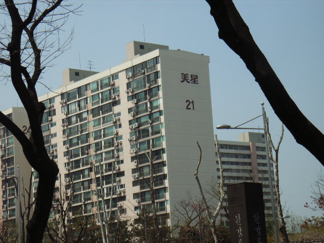 e0177824_2336659.jpg