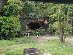f0022024_1615452.jpg