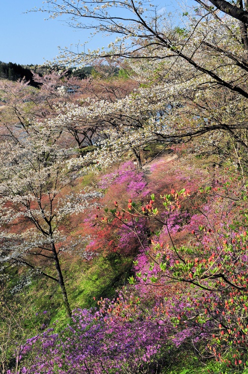 a0248728_1622244.jpg