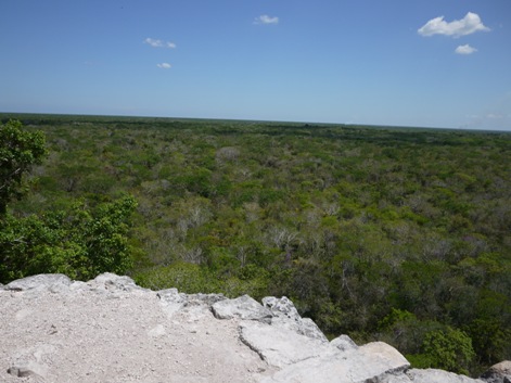 b0221428_1553109.jpg
