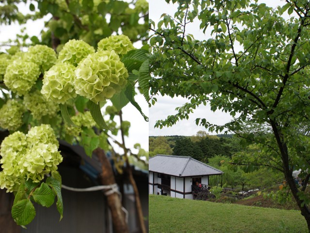 c0110930_0484970.jpg