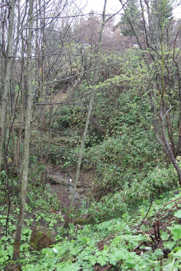 f0045630_1446228.jpg
