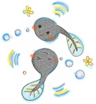 b0164533_1711485.gif