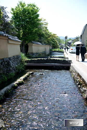 c0227134_105562.jpg