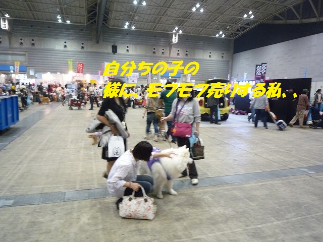 e0196135_20122554.jpg