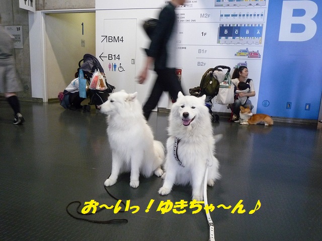 e0196135_20143618.jpg