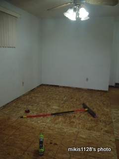 f0045736_7271750.jpg