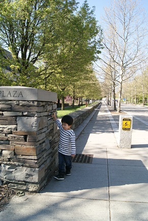 a0118938_12254971.jpg