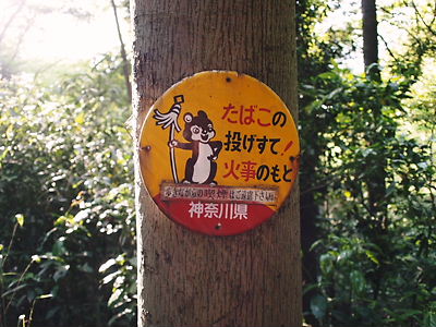 e0022839_2334546.jpg