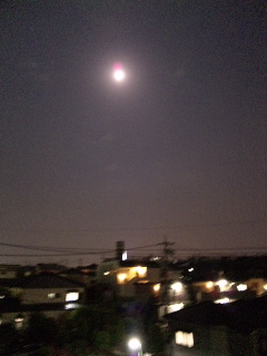 d0051241_021669.jpg