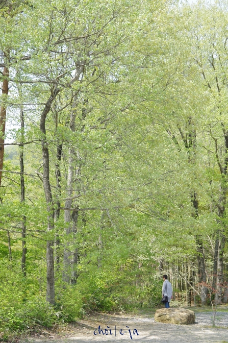 c0243343_21282368.jpg