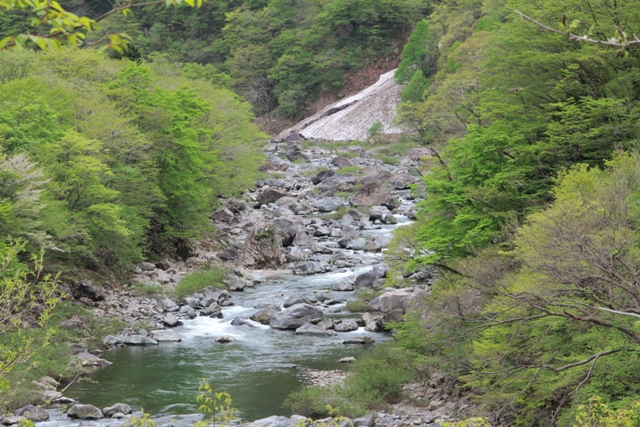d0132743_203830.jpg