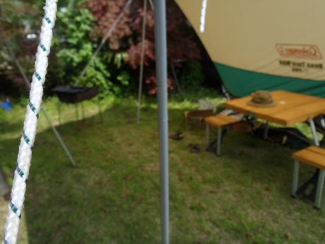 d0182245_214081.jpg