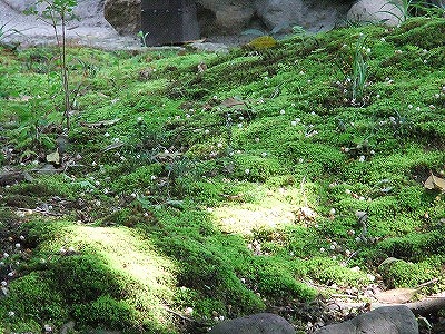 e0173645_10335920.jpg