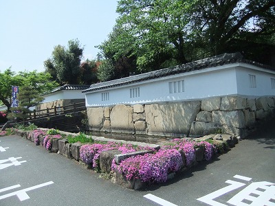 e0173645_1055254.jpg