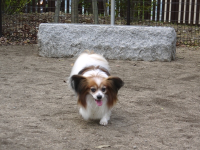 e0100046_21163746.jpg