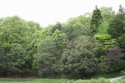 b0148547_1951191.jpg