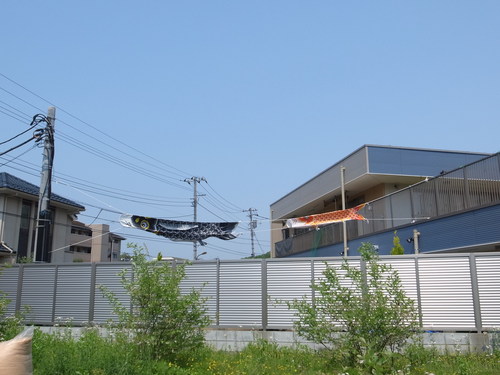 d0134147_11194341.jpg