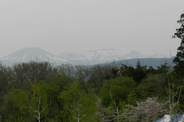 e0043548_8561983.jpg