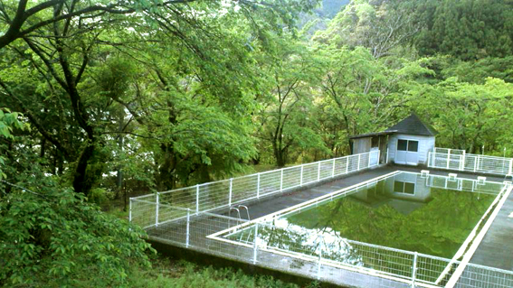 f0178153_13482243.jpg