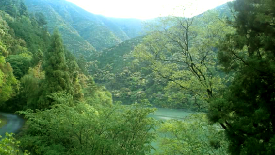 f0178153_1348296.jpg