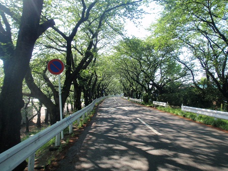 a0242657_22522934.jpg
