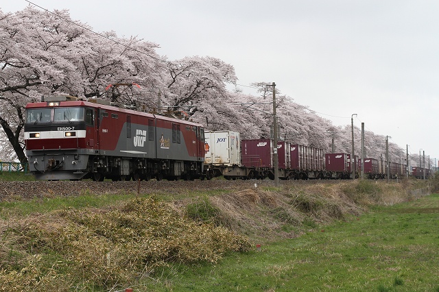 b0002858_14464762.jpg