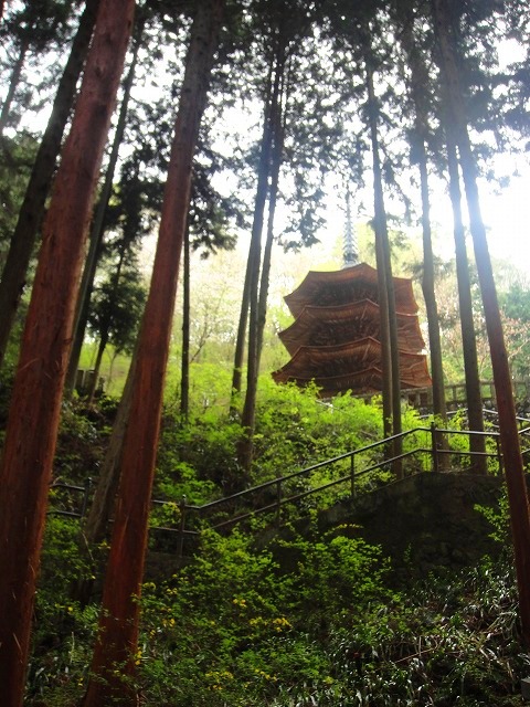 c0119160_11331867.jpg