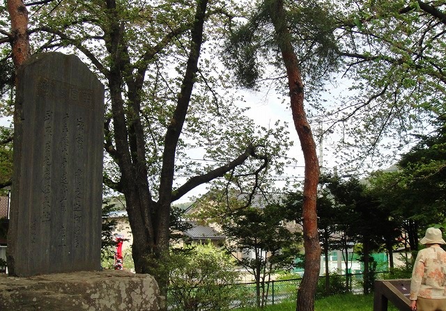 c0119160_812769.jpg
