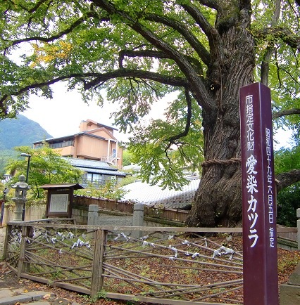c0119160_8571470.jpg