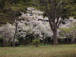 e0105760_0473641.jpg