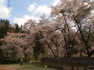 e0105760_047451.jpg