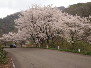 e0105760_0481319.jpg