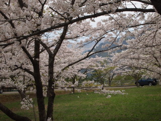 e0105760_048192.jpg