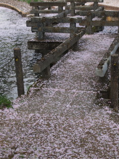 e0105760_0483854.jpg