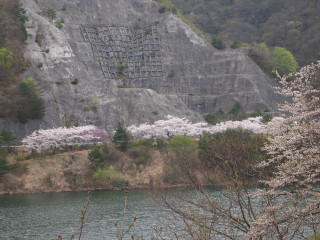 e0105760_048653.jpg