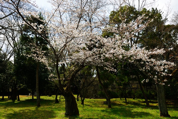 f0222161_9391695.jpg